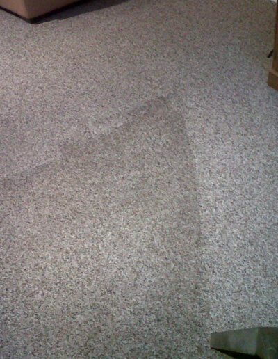 Carpet cleaning picture
